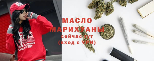 гидра Медногорск