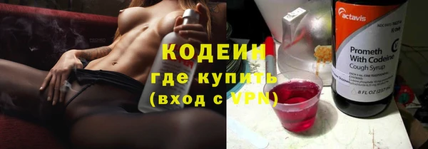 прущие крисы Медвежьегорск