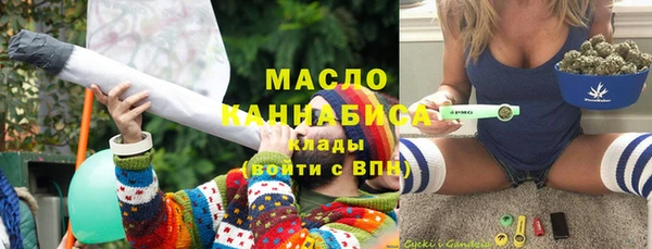 гидра Медногорск