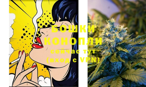 дурь Мегион